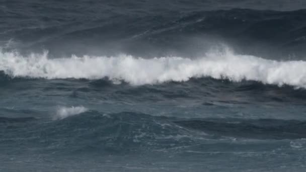 Movimiento lento de olas rompiendo, Fuerteventura . — Vídeo de stock
