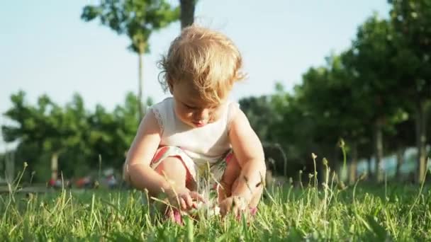 Jovem sentada na grama no verão — Vídeo de Stock