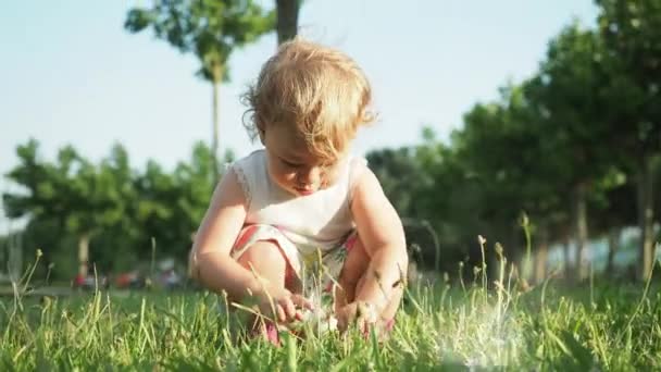 Młoda dziewczyna siedzi na trawie w lecie — Wideo stockowe