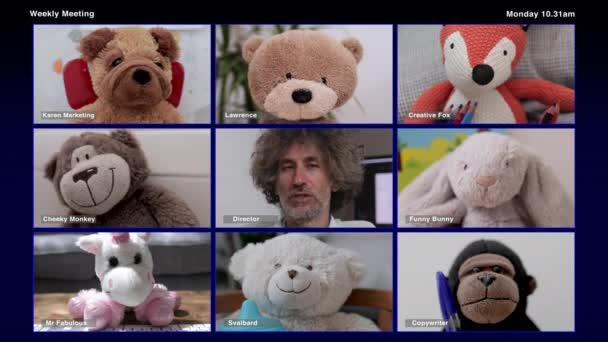 Відео відео конференції плюшевого ведмедя — стокове відео