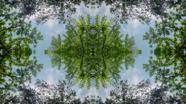 Kaleidoscopische video van bomen en lucht lage hoek uitzicht — Stockvideo