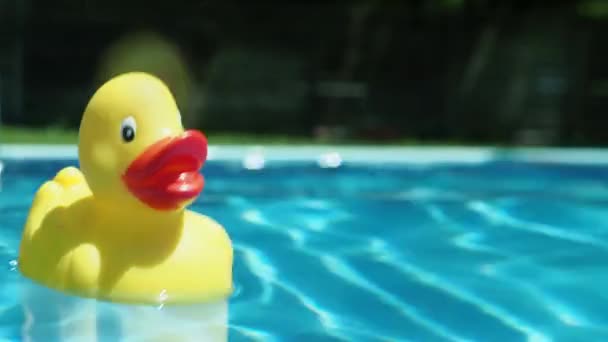 Canard en caoutchouc flottant sur la surface de l'eau — Video