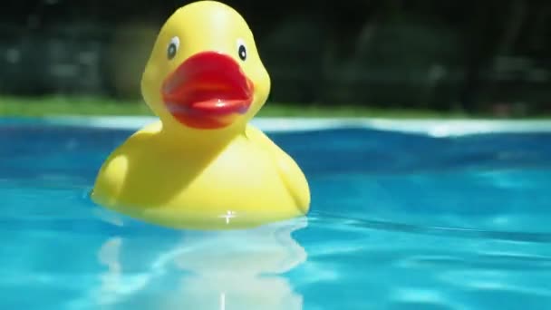 Canard en caoutchouc flottant sur la surface de l'eau — Video