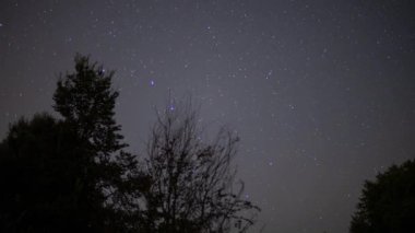 Gece gökyüzündeki yıldızların hızlandırılmış görüntüleri ağaçların üzerinde