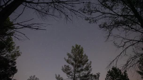 Images temporelles d'étoiles dans le ciel nocturne au-dessus des arbres — Video