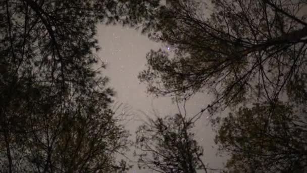 Időeltolódás felvételek csillagokról az éjszakai égbolton a fák felett — Stock videók