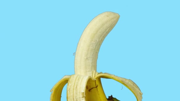 Imágenes animadas de un plátano medio pelado girando contra fondo azul — Vídeos de Stock