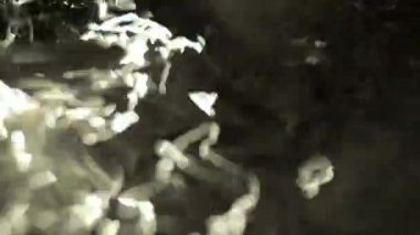 Güneş ışığında parlayan su yüzeyinin makro görüntüleri