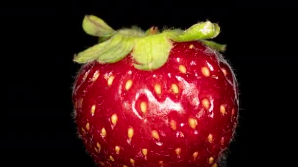 검은 배경 위에서 회전하는 싱싱 한 붉은 딸기의 발자국 — 비디오