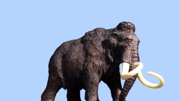 Spielzeug-Mammut vor blauem Hintergrund — Stockvideo