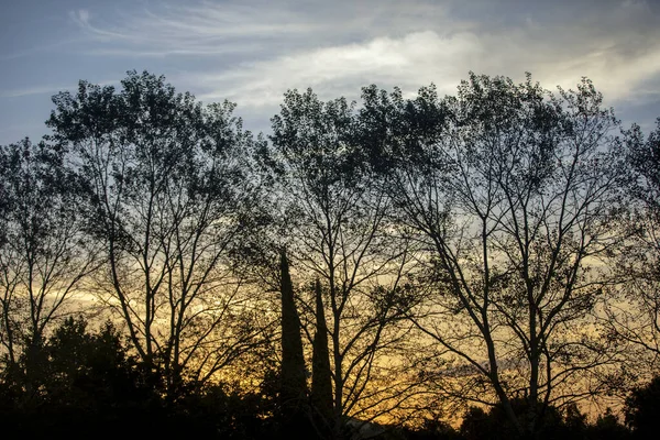Drzewa Wschodzącym Słońcem Niebie Sylwetką Drzew Przyrody Spokojne Spokojne — Zdjęcie stockowe