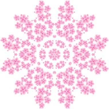 kiraz çiçeği desen illüstrasyon