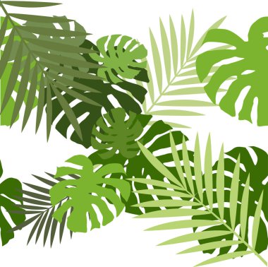 İsviçre peyniri bitki yaprakları