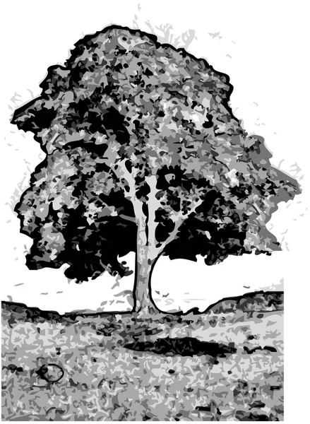 树蚀刻样式插图 — 图库照片