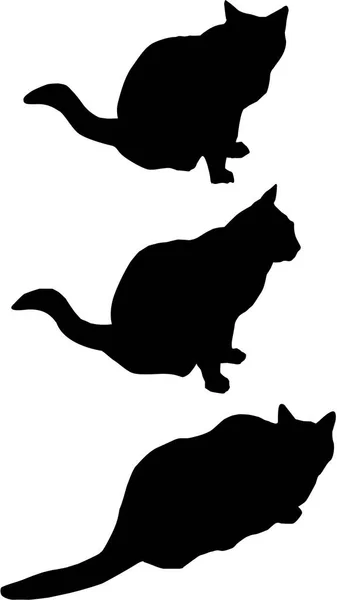 白底黑猫剪影 — 图库照片