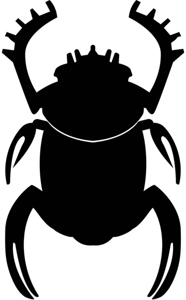 Skarabäus Käfer Auf Weiß — Stockfoto