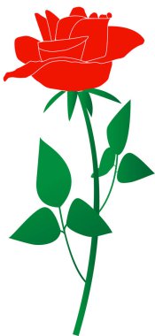 Beyaz üzerine kırmızı gül grafiği