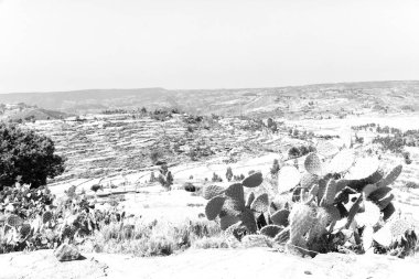 Etiyopya Afrika'da panorama Vadisi Dağ ve gökyüzü