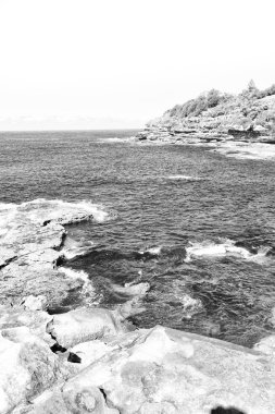Avustralya'da sydney defne kaya ve bondi beach yakınındaki ocean
