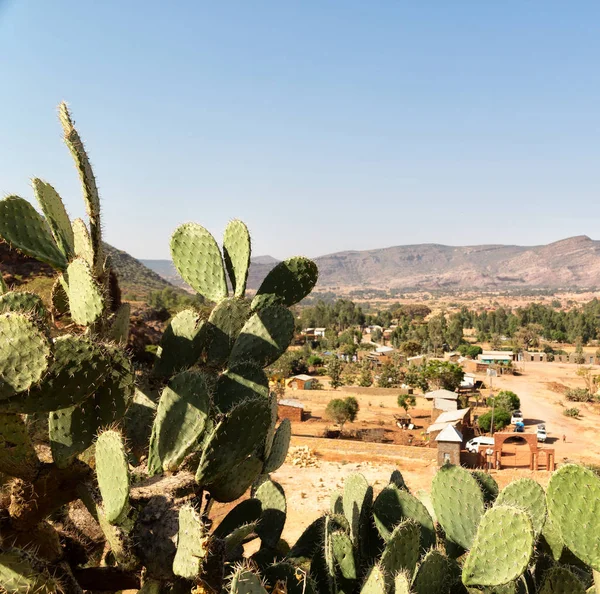 Etiyopya Afrika'da panorama Vadisi Dağ ve gökyüzü