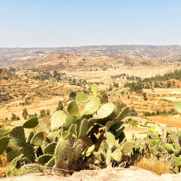 Etiyopya Afrika'da panorama Vadisi Dağ ve gökyüzü