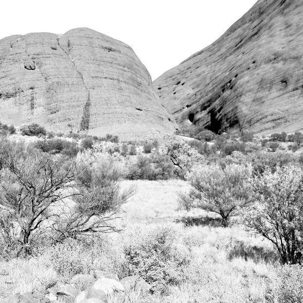 在澳大利亚的内陆峡谷和近山的性质 — 图库照片