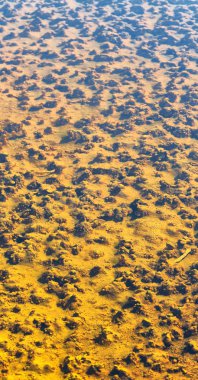 Danakil Etiyopya Afrika'da dallol ve Kutup gazoz arka plan gibi volkanik depresyon