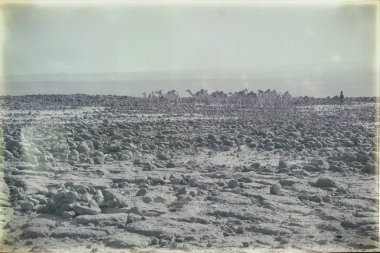 afar diyarında danakil Etiyopya Afrika'da rock çöl ve boş deve karavan