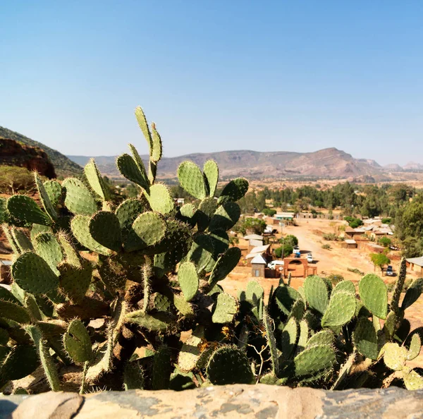 Etiyopya Afrika'da panorama Vadisi Dağ ve gökyüzü