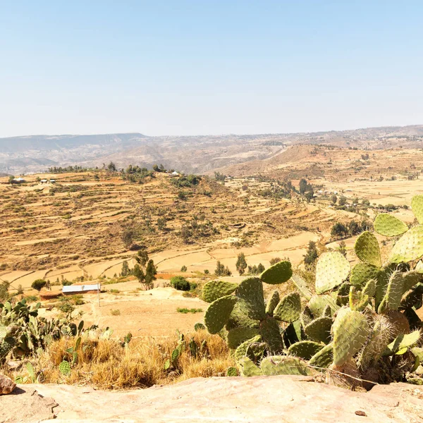在埃塞俄比亚非洲全景在谷山和天空 — 图库照片