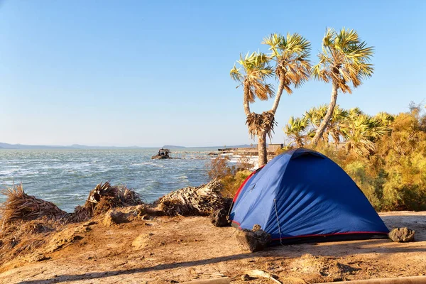 Ethiopië Afrika Het Nationaal Park Camping Voor Toeristische Tent — Stockfoto