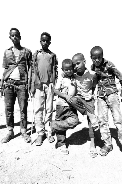 Ethiopia Babile Circa January 2018 Неизвестные Молодые Мальчики Рынке Верблюдов — стоковое фото