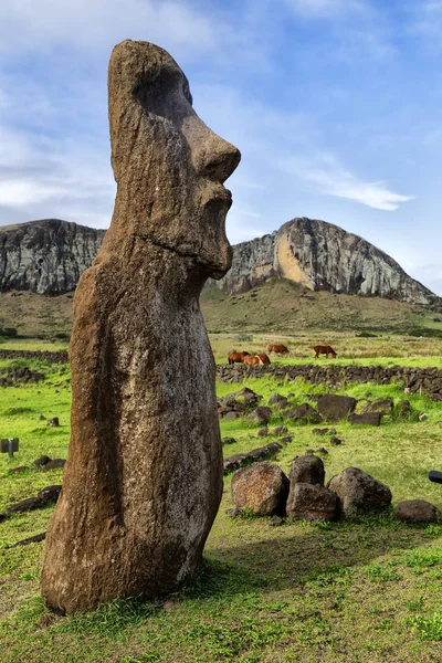 Şili Rapa Nui Bir Eski Kültür Antika Mysteriuos Muai Heykeli — Stok fotoğraf