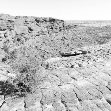 Avustralya vahşi Kral Kanyonu doğa ve taşra