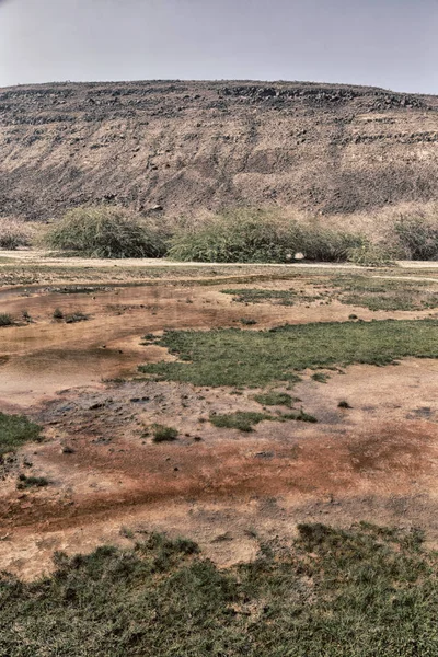 Danakil Ethiopia Africa Volcanic Depression Dallol Pole Ale — Stock Photo, Image