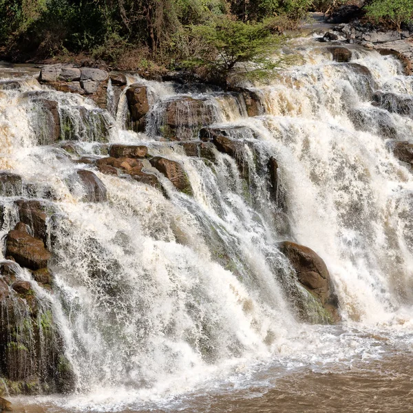 Äthiopien Afrika Der Überschwemmte Nationalpark Und Die Wasserfälle — Stockfoto