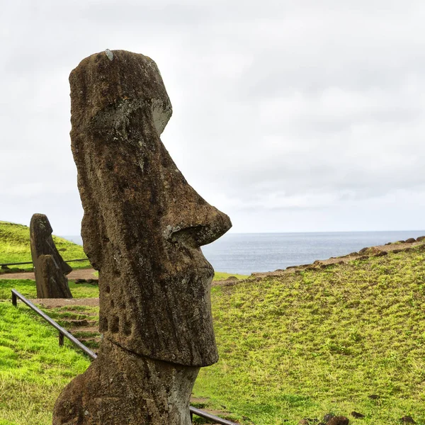 Şili Rapa Nui Bir Eski Kültür Antika Mysteriuos Muai Heykeli — Stok fotoğraf