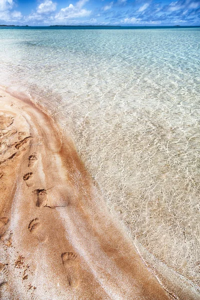 Polynesië Rangiroa Zoals Het Roze Zand Van Kustlijn Paradijs Concept — Stockfoto