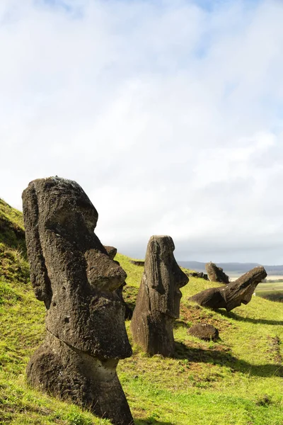 Chile Rapa Nui Antica Misteriosa Statua Muai Simbolo Antica Cultura — Foto Stock