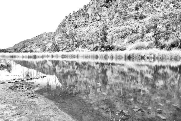 Australia Natuarl Kings Canyon River Mountain Nature — Stock Photo, Image