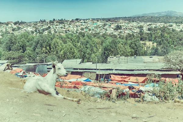 Etiopia Lalibela Około Stycznia 2018 Niezidentyfikowanych Ludzi Tłumie Rynku — Zdjęcie stockowe