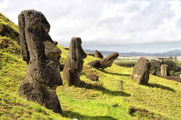 Chile Rapa Nui Die Antike Und Geheimnisvolle Muai Statue Symbol — Stockfoto