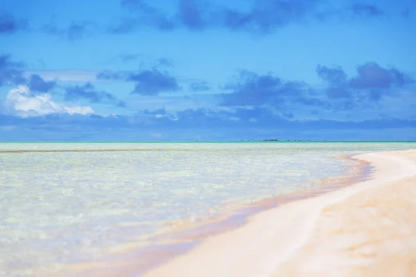 Polynesia Rangiroa Pink Sands Coastline Paradise Concept Rela — Stock Photo, Image
