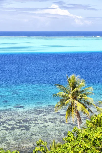 Polynesia Bora Bora View Coastline Lagoon Palm Paradise Concept Rela — Stock Photo, Image