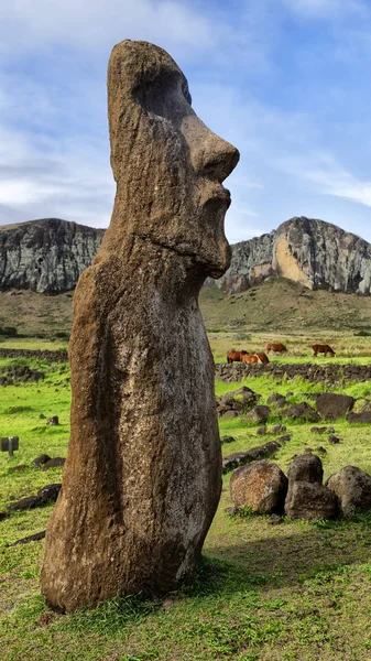 Şili Rapa Nui Bir Eski Kültür Antika Mysteriuos Muai Heykeli — Stok fotoğraf