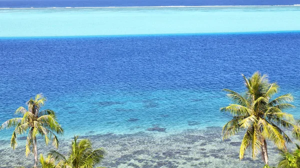 在波利尼西亚波拉波拉岛海岸线泻湖和棕榈像天堂的概念和 — 图库照片