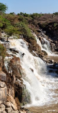 Etiyopya Afrika suda yüzen Milli Parkı ve Şelalesi doğa wil