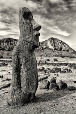 Şili rapa nui bir eski kültür antika ve mysteriuos muai heykeli sembolü