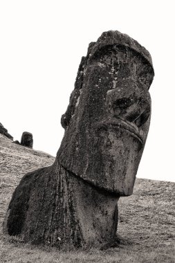 Şili rapa nui bir eski kültür antika ve mysteriuos muai heykeli sembolü