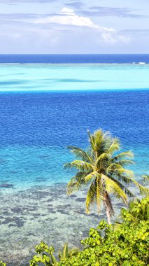 Polinezyası bora Bora'da kıyı şeridi lagün ve palmiye görünümünde gibi cennet kavramı ve Real